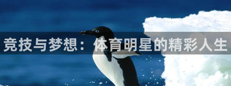 利记官网下载平台注册要钱吗是真的吗:竞技与梦想:体育明星的精