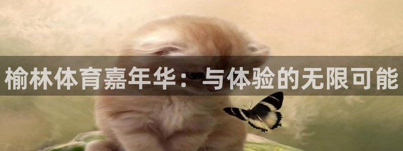 利记官网下载平台注册要钱吗安全吗:榆林体育嘉年华:与体验的无