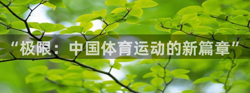 利记官网下载软件:“极限:中国体育运动的新篇章”