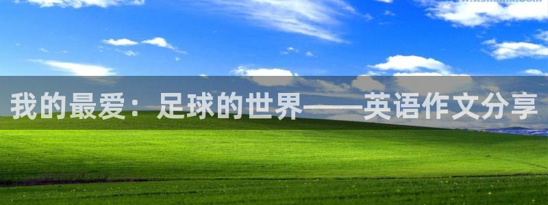 利记官网下载平台是正规平台吗安全吗:我的最爱:足球的世界——